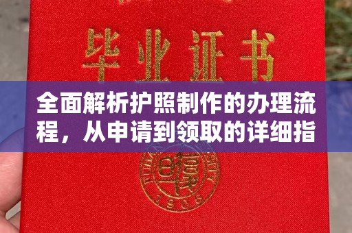 道真全面解析护照制作的办理流程，从申请到领取的详细指南